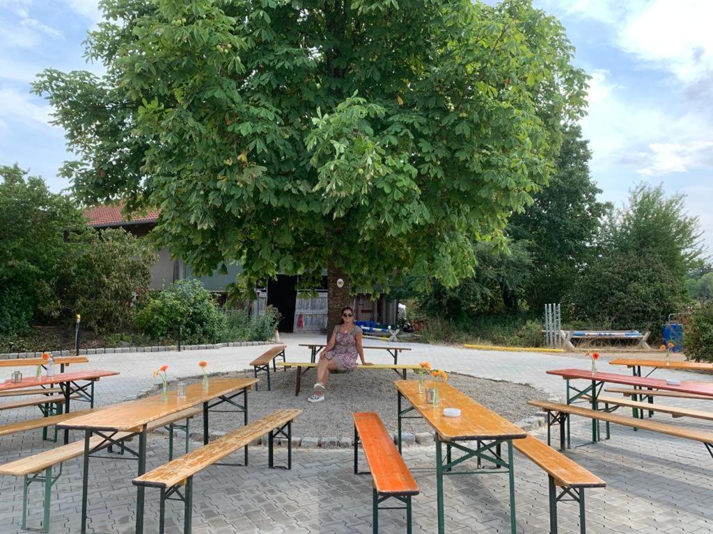 Reitschule Kronwitter Mainbernheim Exterior foto